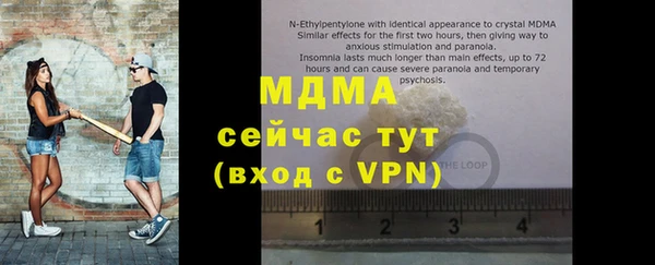 ГАЛЛЮЦИНОГЕННЫЕ ГРИБЫ Лагань