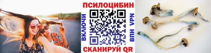 наркотики  Добрянка  Галлюциногенные грибы Psilocybe 