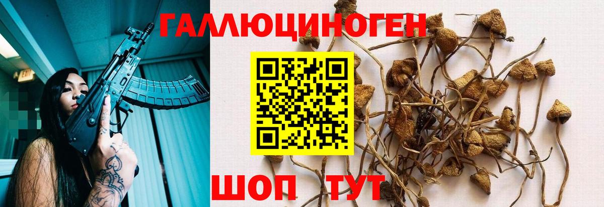 Псилоцибиновые грибы Cubensis  хочу   Добрянка  Псилоцибиновые грибы мухоморы  Вход с VPN 